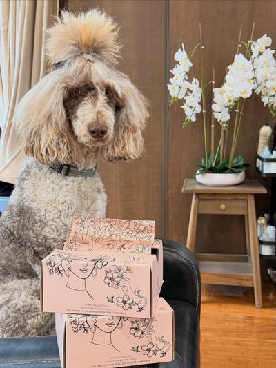 Bring your poodle to work day 🐩 Get it girl 📸