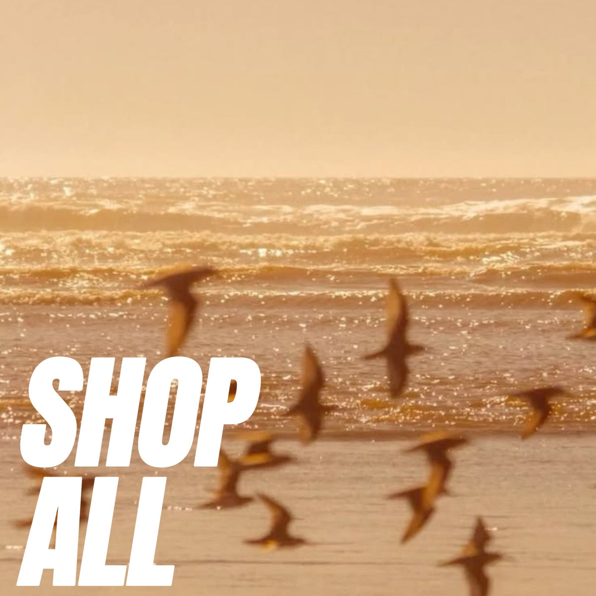 Shop all