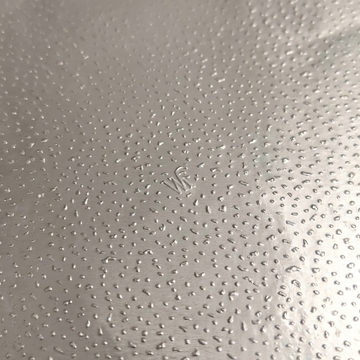 Close-up of the WF signature embossing on silver hair foil, with a small WF mark in the centre